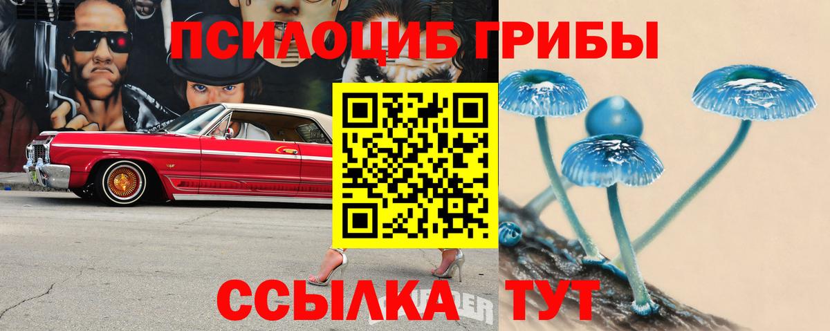 Галлюциногенные грибы Psilocybe  Вход с VPN  Анапа 