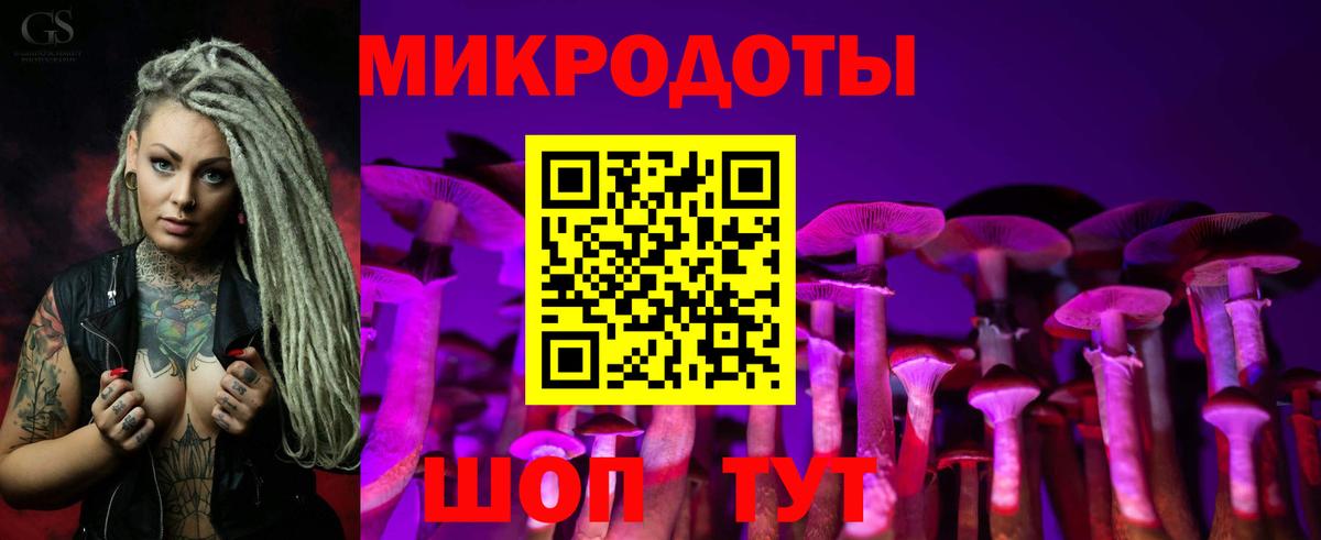 Галлюциногенные грибы Psilocybine cubensis Анапа
